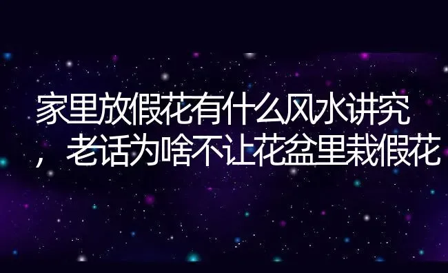 家里放假花有什么风水讲究,老话为啥不让花盆里栽假花 | 养殖学堂