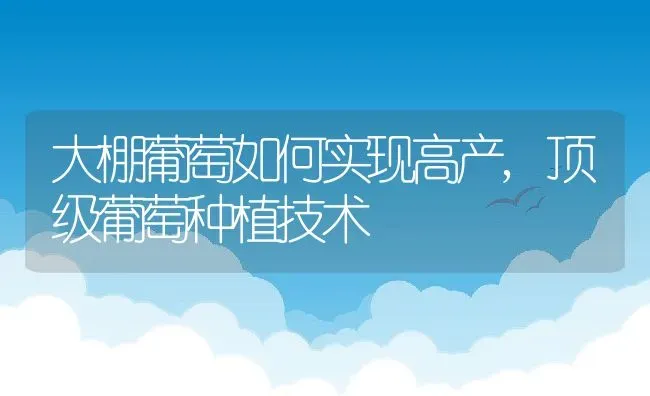 大棚葡萄如何实现高产,顶级葡萄种植技术 | 养殖学堂