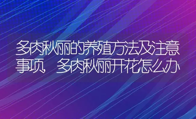 多肉秋丽的养殖方法及注意事项,多肉秋丽开花怎么办 | 养殖学堂