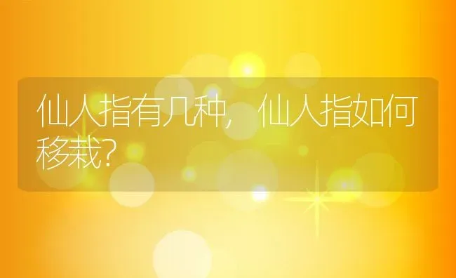 仙人指有几种,仙人指如何移栽？ | 养殖学堂