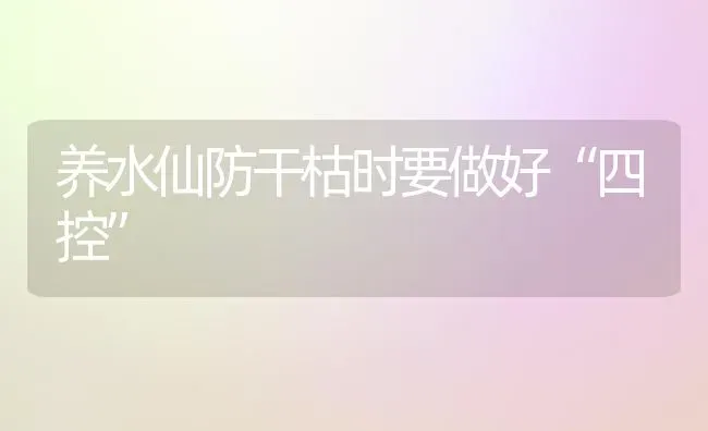 养水仙防干枯时要做好“四控” | 养殖知识