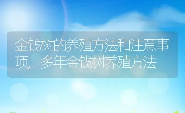 金钱树的养殖方法和注意事项,多年金钱树养殖方法 | 养殖学堂