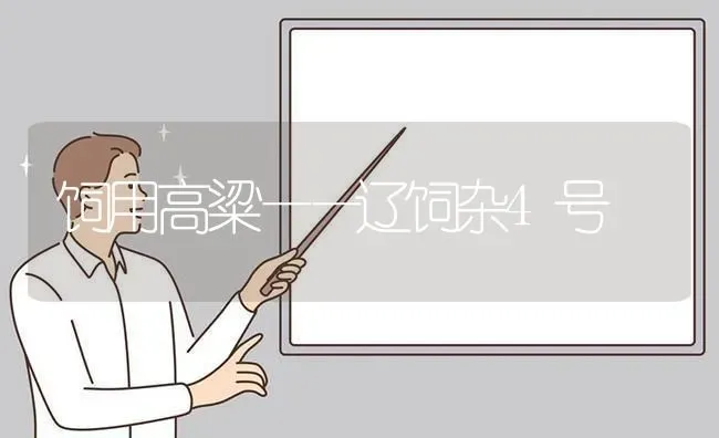 饲用高粱——辽饲杂4号 | 养殖技术大全