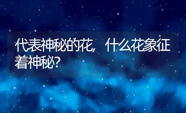 代表神秘的花,什么花象征着神秘？ | 养殖科普