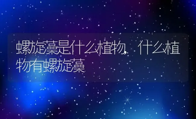 螺旋藻是什么植物,什么植物有螺旋藻 | 养殖学堂