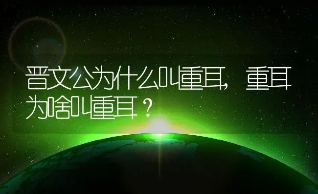 晋文公为什么叫重耳,重耳为啥叫重耳？ | 养殖科普