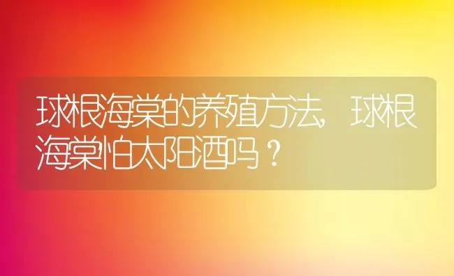 球根海棠的养殖方法,球根海棠怕太阳酒吗？ | 养殖科普