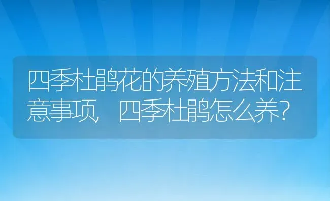 四季杜鹃花的养殖方法和注意事项,四季杜鹃怎么养？ | 养殖科普