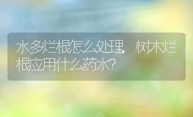 水多烂根怎么处理,树木烂根应用什么药水？ | 养殖科普