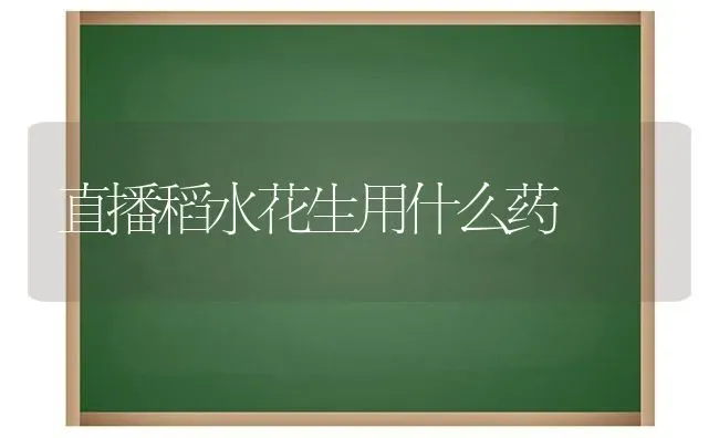 直播稻水花生用什么药 | 养殖知识