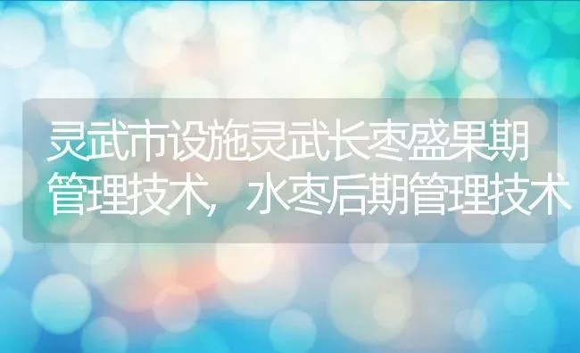 灵武市设施灵武长枣盛果期管理技术,水枣后期管理技术 | 养殖学堂