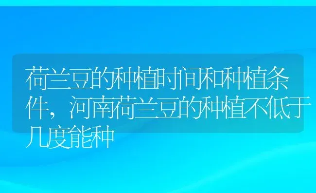 荷兰豆的种植时间和种植条件,河南荷兰豆的种植不低于几度能种 | 养殖学堂
