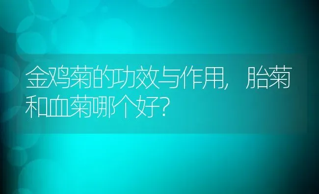 金鸡菊的功效与作用,胎菊和血菊哪个好？ | 养殖学堂