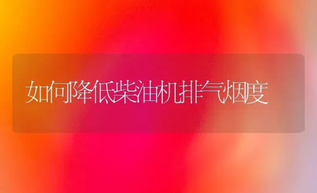 如何降低柴油机排气烟度 | 养殖技术大全