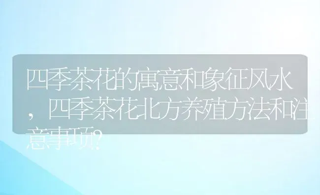 四季茶花的寓意和象征风水,四季茶花北方养殖方法和注意事项？ | 养殖科普