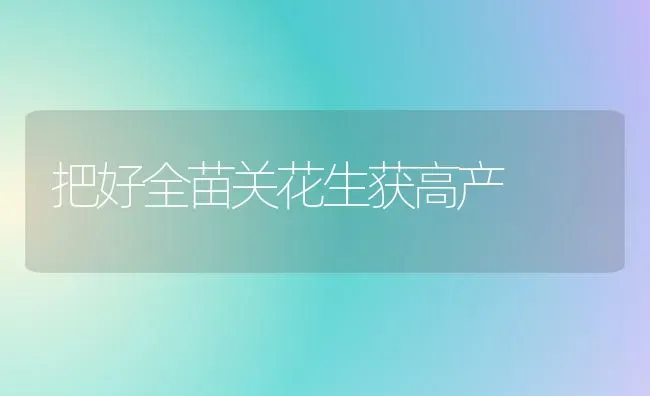 把好全苗关花生获高产 | 养殖技术大全