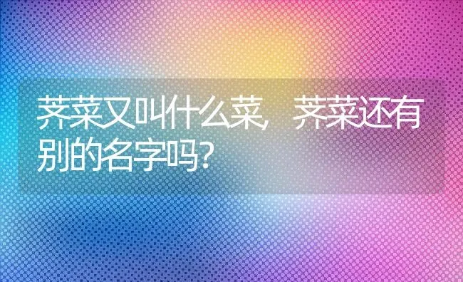 荠菜又叫什么菜,荠菜还有别的名字吗？ | 养殖科普