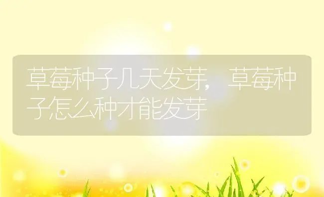 草莓种子几天发芽,草莓种子怎么种才能发芽 | 养殖学堂