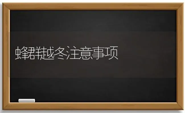 蜂群越冬注意事项 | 养殖技术大全