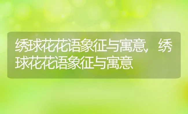 绣球花花语象征与寓意,绣球花花语象征与寓意 | 养殖科普