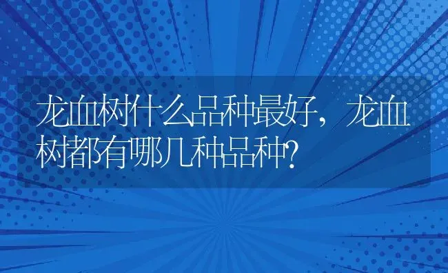 龙血树什么品种最好,龙血树都有哪几种品种？ | 养殖科普