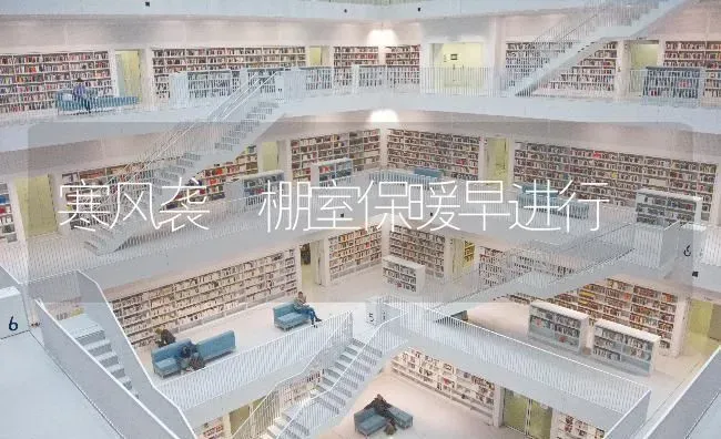 寒风袭 棚室保暖早进行 | 养殖技术大全