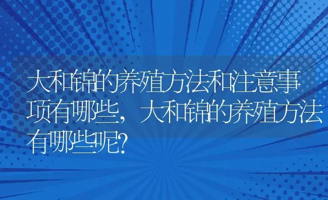 大和锦的养殖方法和注意事项有哪些,大和锦的养殖方法有哪些呢？ | 养殖科普