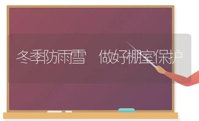 冬季防雨雪 做好棚室保护 | 养殖技术大全
