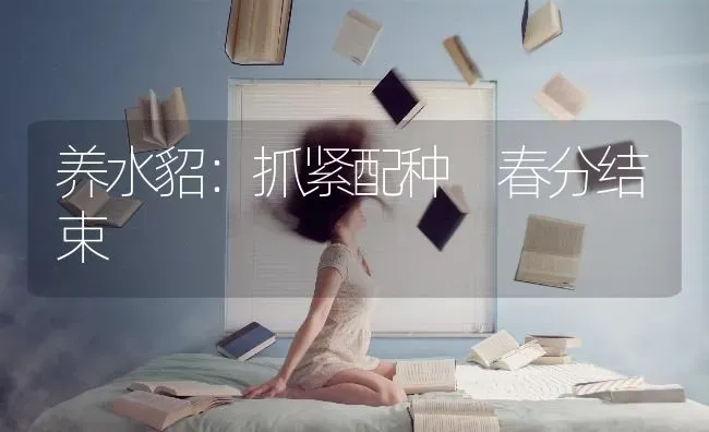养水貂：抓紧配种 春分结束 | 养殖知识