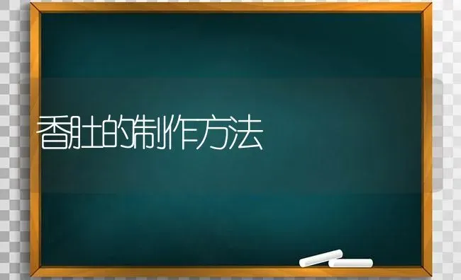 香肚的制作方法 | 养殖技术大全