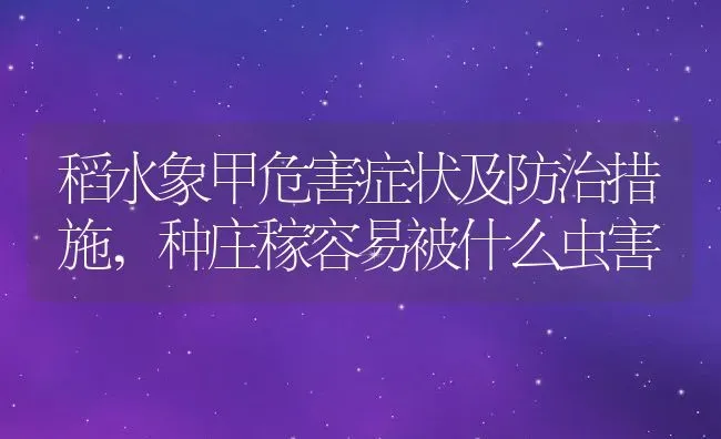 稻水象甲危害症状及防治措施,种庄稼容易被什么虫害 | 养殖学堂