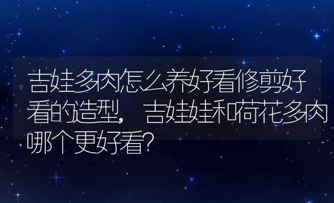吉娃多肉怎么养好看修剪好看的造型,吉娃娃和荷花多肉哪个更好看？ | 养殖科普