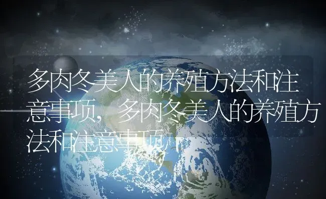 多肉冬美人的养殖方法和注意事项,多肉冬美人的养殖方法和注意事项 | 养殖科普