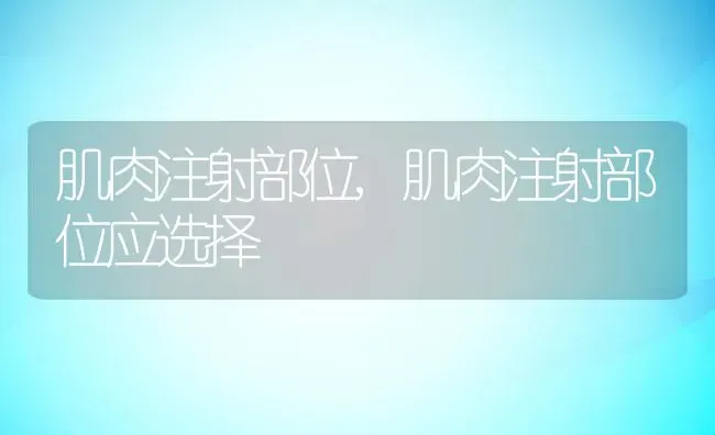 肌肉注射部位,肌肉注射部位应选择 | 养殖科普