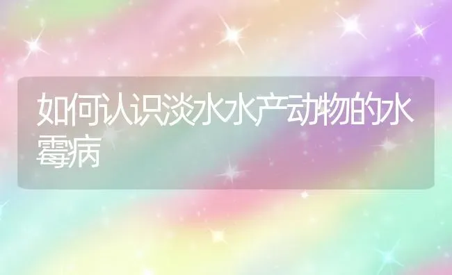 如何认识淡水水产动物的水霉病 | 养殖技术大全