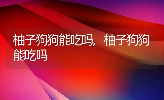 柚子狗狗能吃吗,柚子狗狗能吃吗 | 养殖学堂