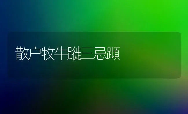 散户牧牛蹝三忌蹞 | 养殖知识