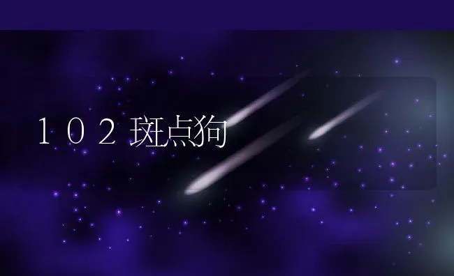 102斑点狗 | 养殖资料