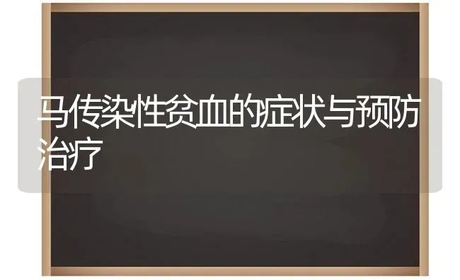 马传染性贫血的症状与预防治疗 | 养殖技术大全
