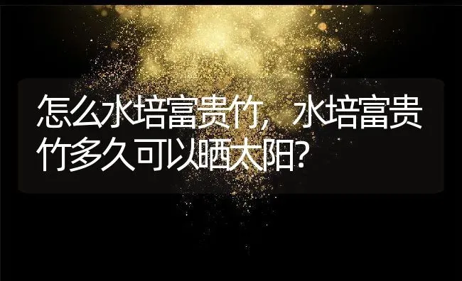 怎么水培富贵竹,水培富贵竹多久可以晒太阳？ | 养殖科普