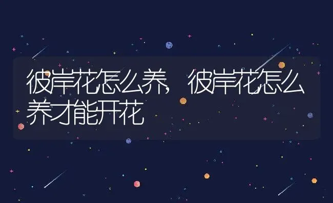 彼岸花怎么养,彼岸花怎么养才能开花 | 养殖资料