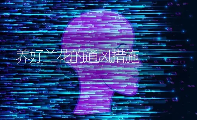 养好兰花的通风措施 | 养殖知识