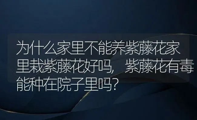 为什么家里不能养紫藤花家里栽紫藤花好吗,紫藤花有毒能种在院子里吗？ | 养殖科普