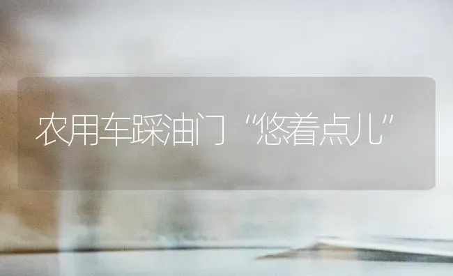 农用车踩油门“悠着点儿” | 养殖知识