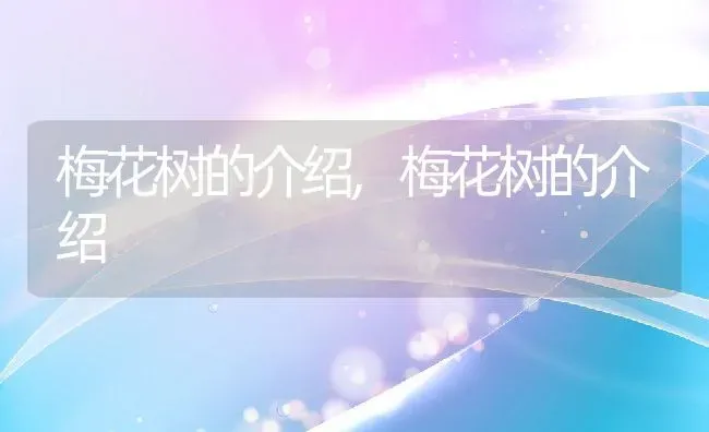 梅花树的介绍,梅花树的介绍 | 养殖科普