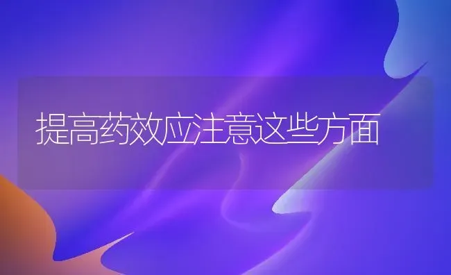 提高药效应注意这些方面 | 养殖技术大全