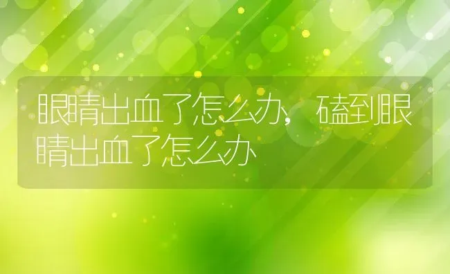 眼睛出血了怎么办,磕到眼睛出血了怎么办 | 养殖资料