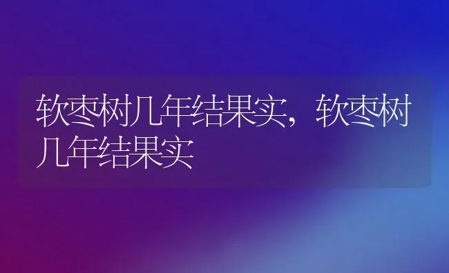 软枣树几年结果实,软枣树几年结果实 | 养殖科普