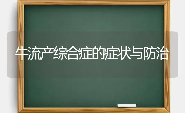 牛流产综合症的症状与防治 | 养殖技术大全