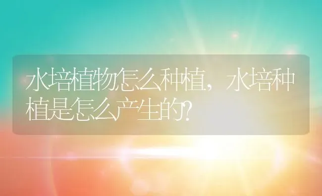 水培植物怎么种植,水培种植是怎么产生的？ | 养殖学堂